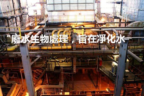 “廢水生物處理，旨在凈化水源，守護碧水藍天”